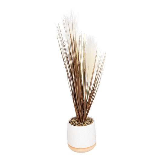 Grasses In A White Pot With White Feathers