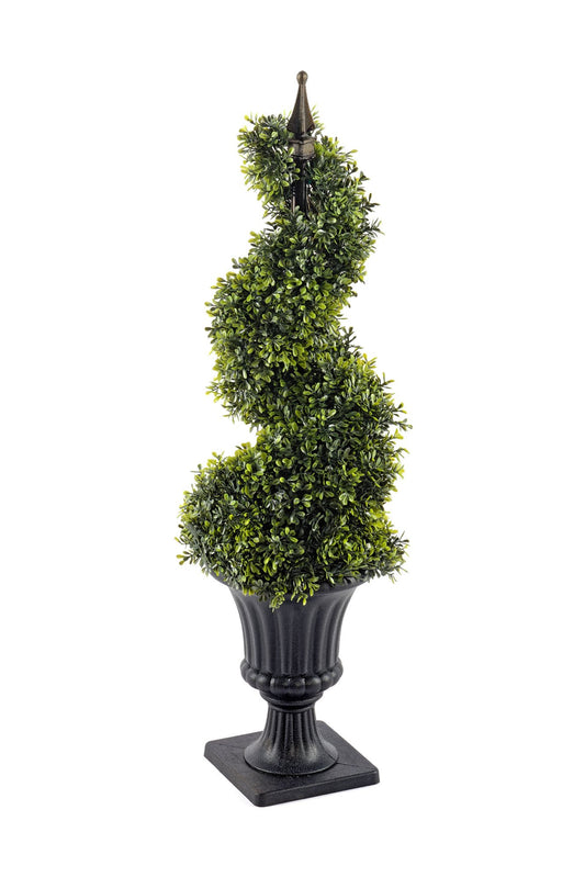 Boxwood Spiral Topiary