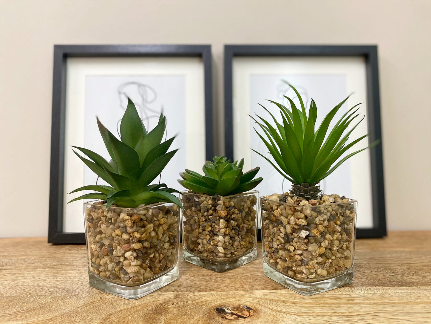 Three Faux Succulents In Glass Pots