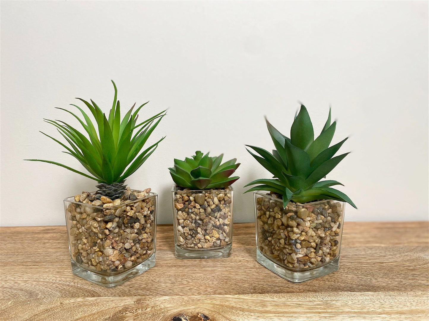 Three Faux Succulents In Glass Pots