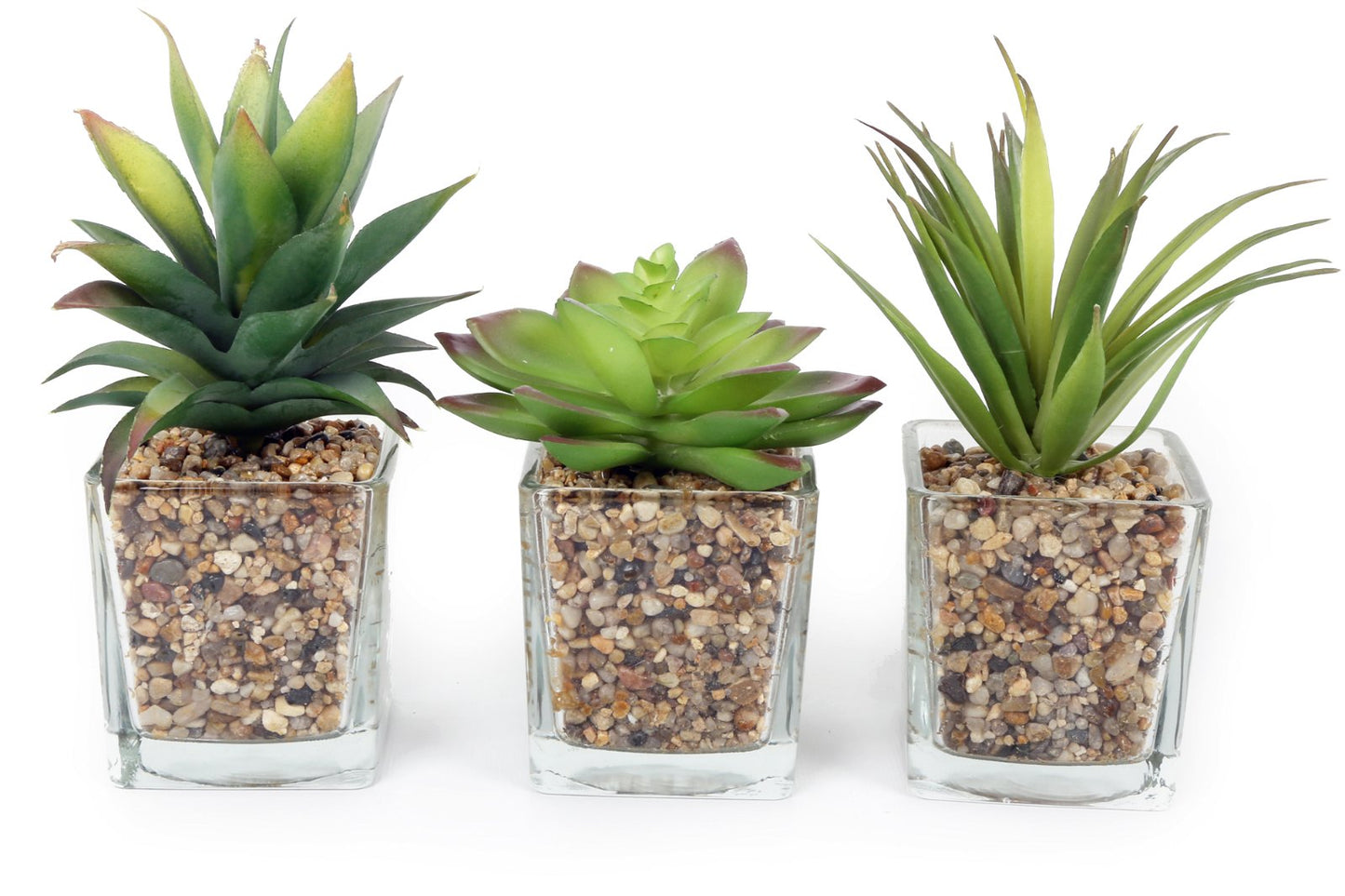 Three Faux Succulents In Glass Pots