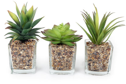 Three Faux Succulents In Glass Pots